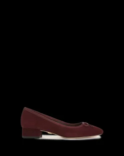 Cecile Suede Ballet Pump in><noscript><img width=